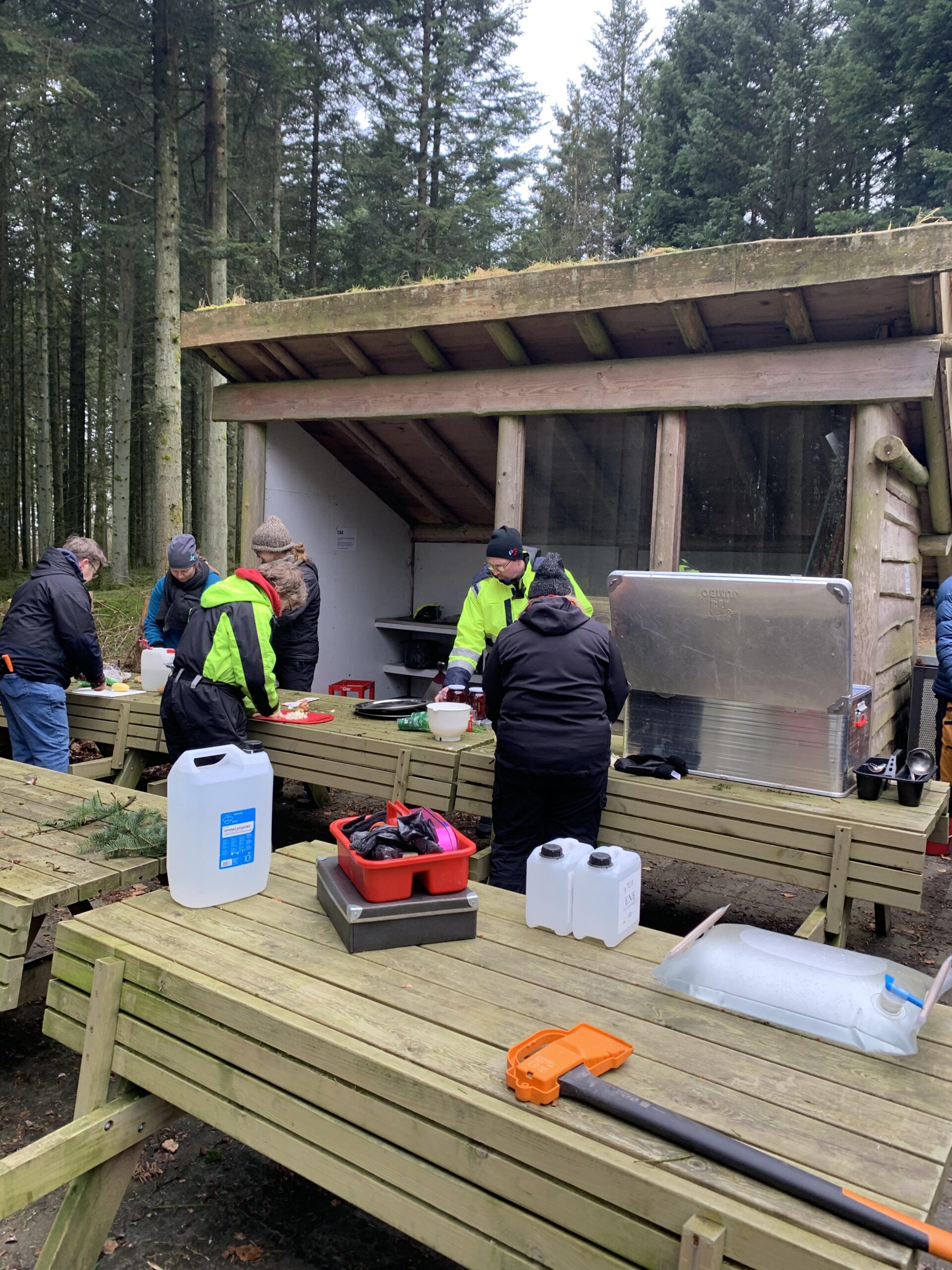 En vILD dag i skoven 8