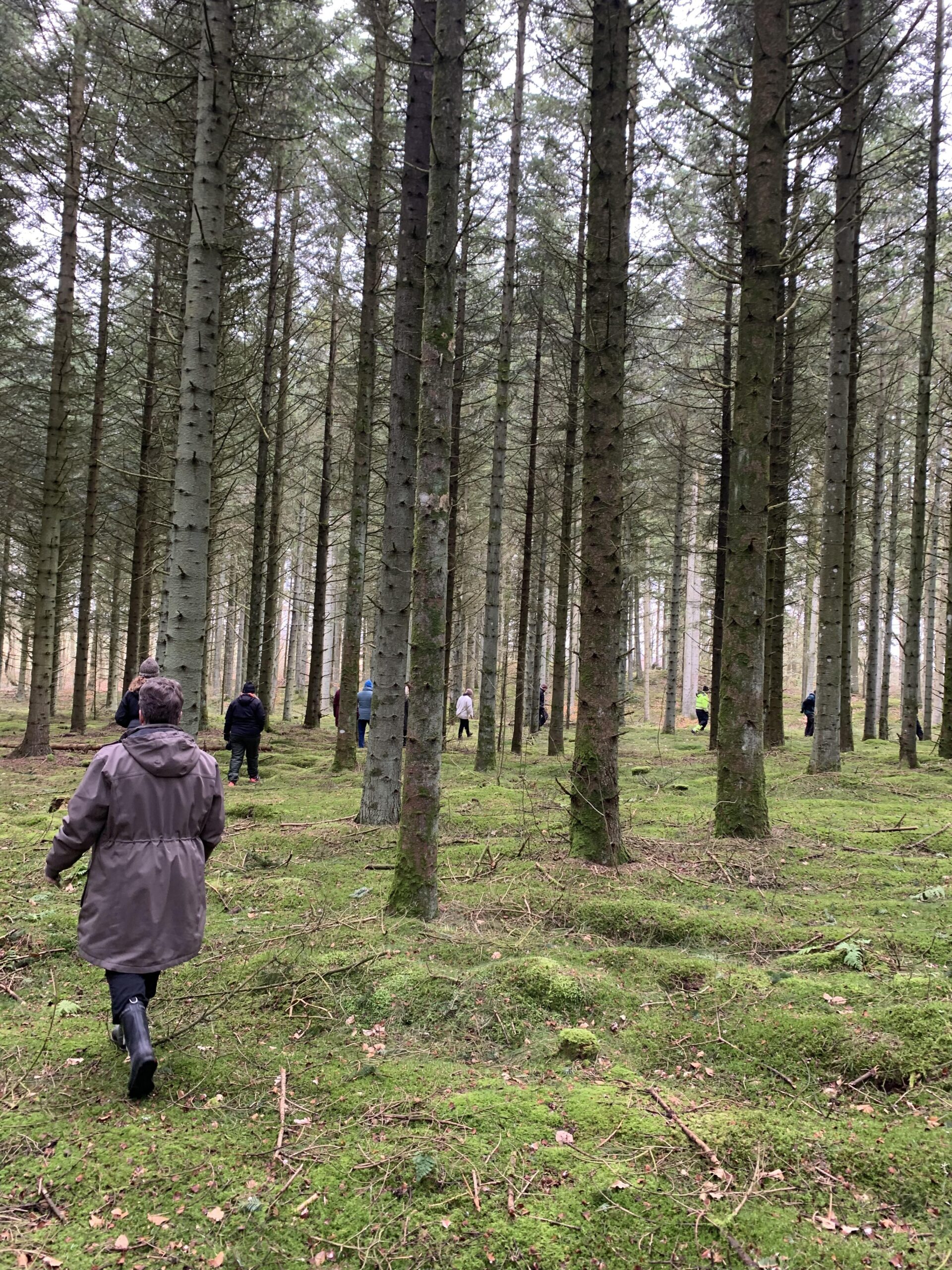 En vILD dag i skoven 14