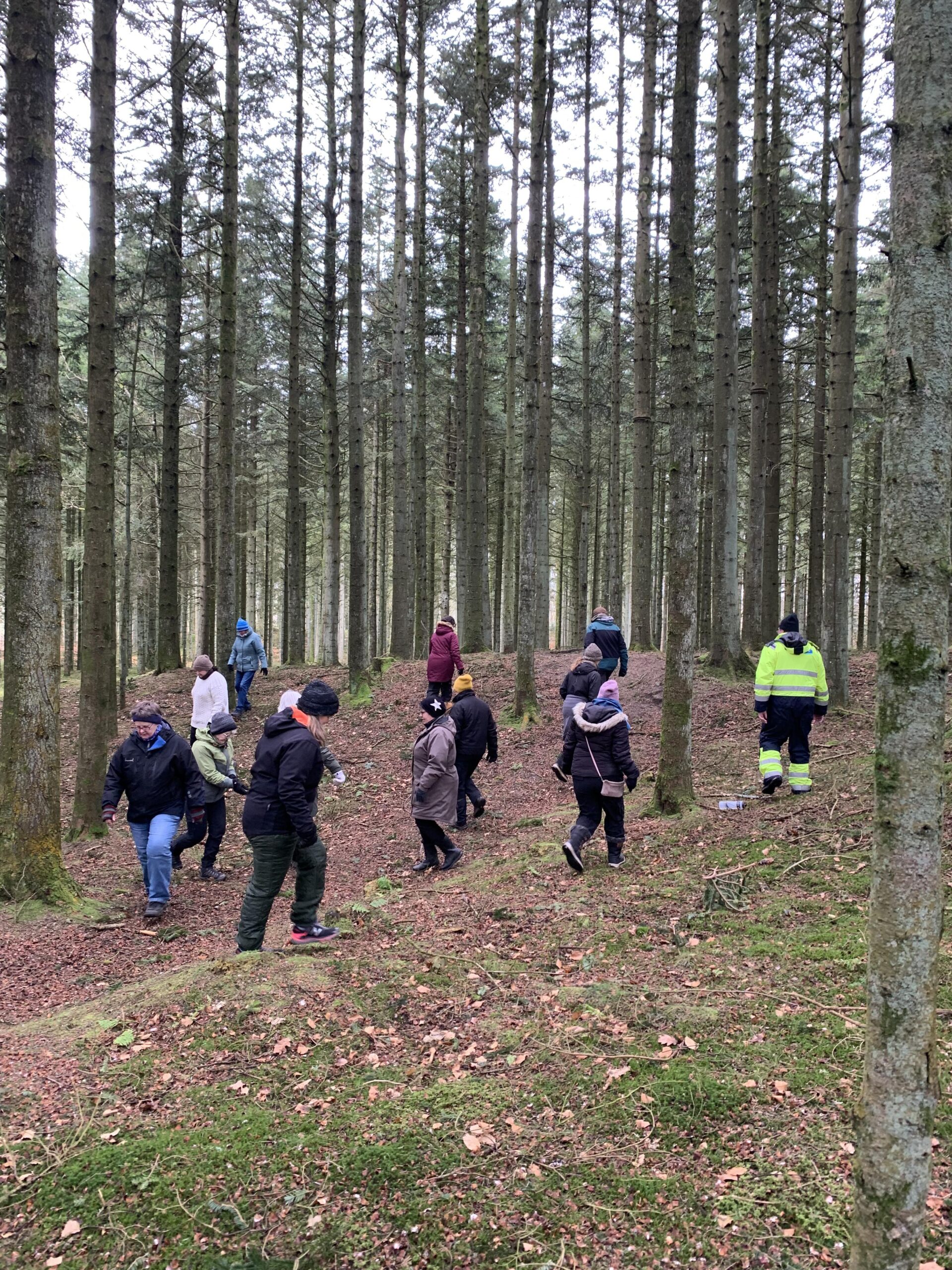 En vILD dag i skoven 15