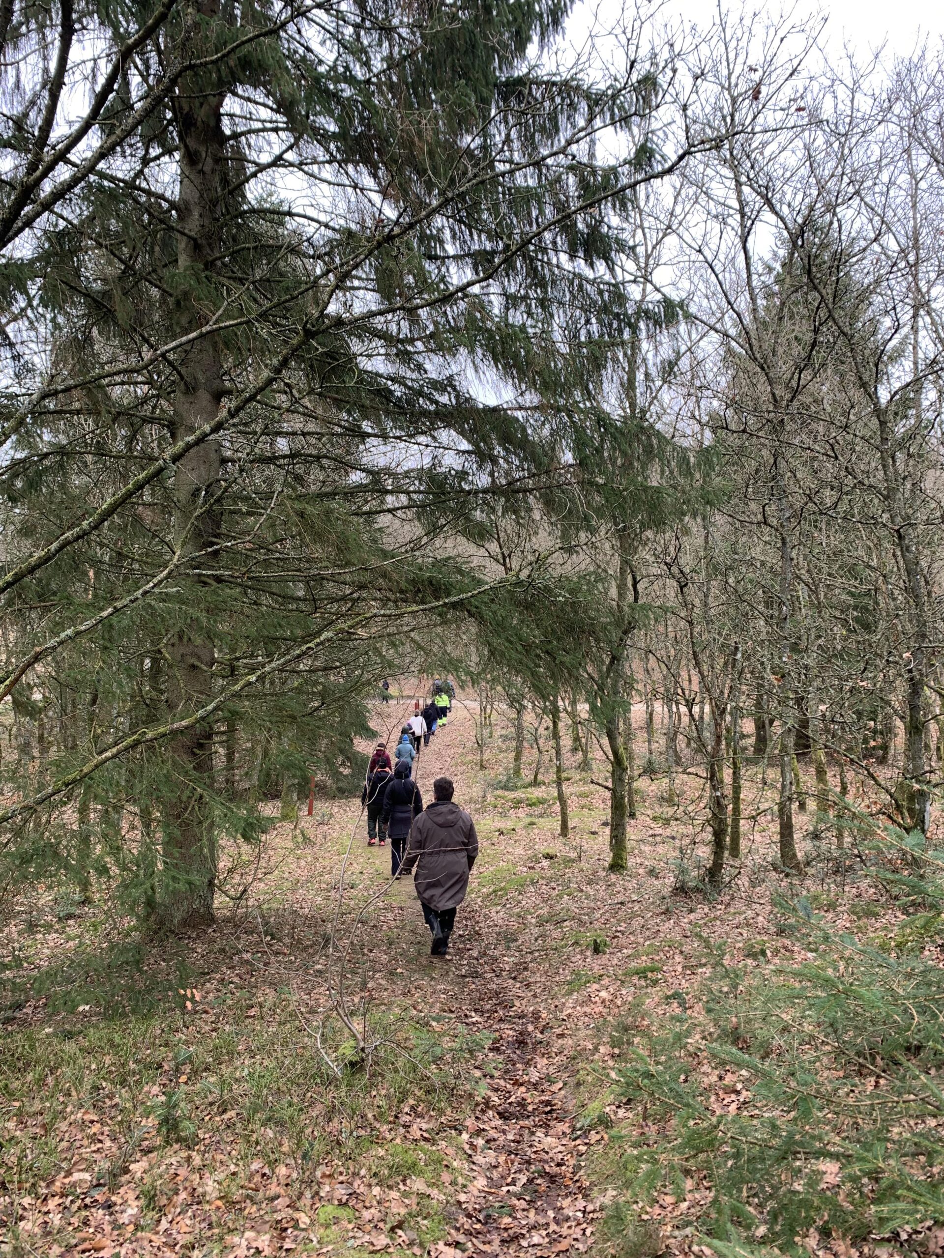 En vILD dag i skoven 16