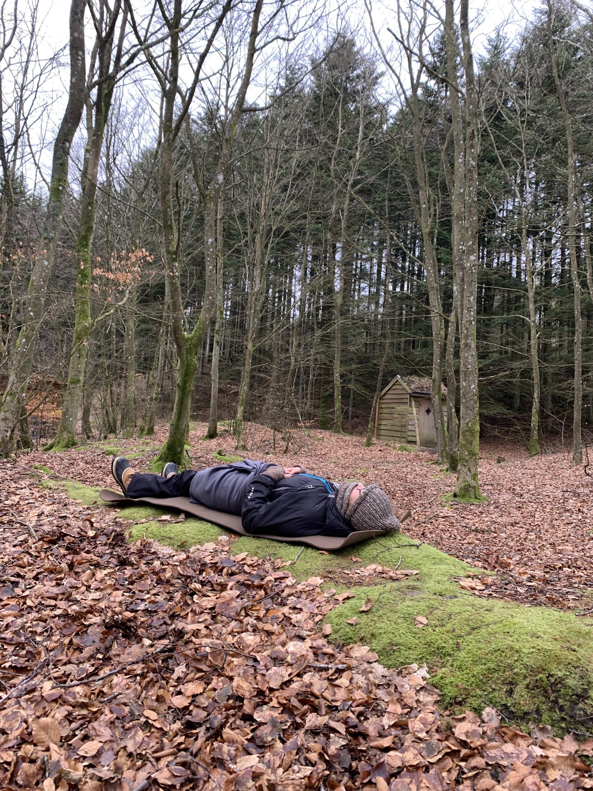 En vILD dag i skoven 17