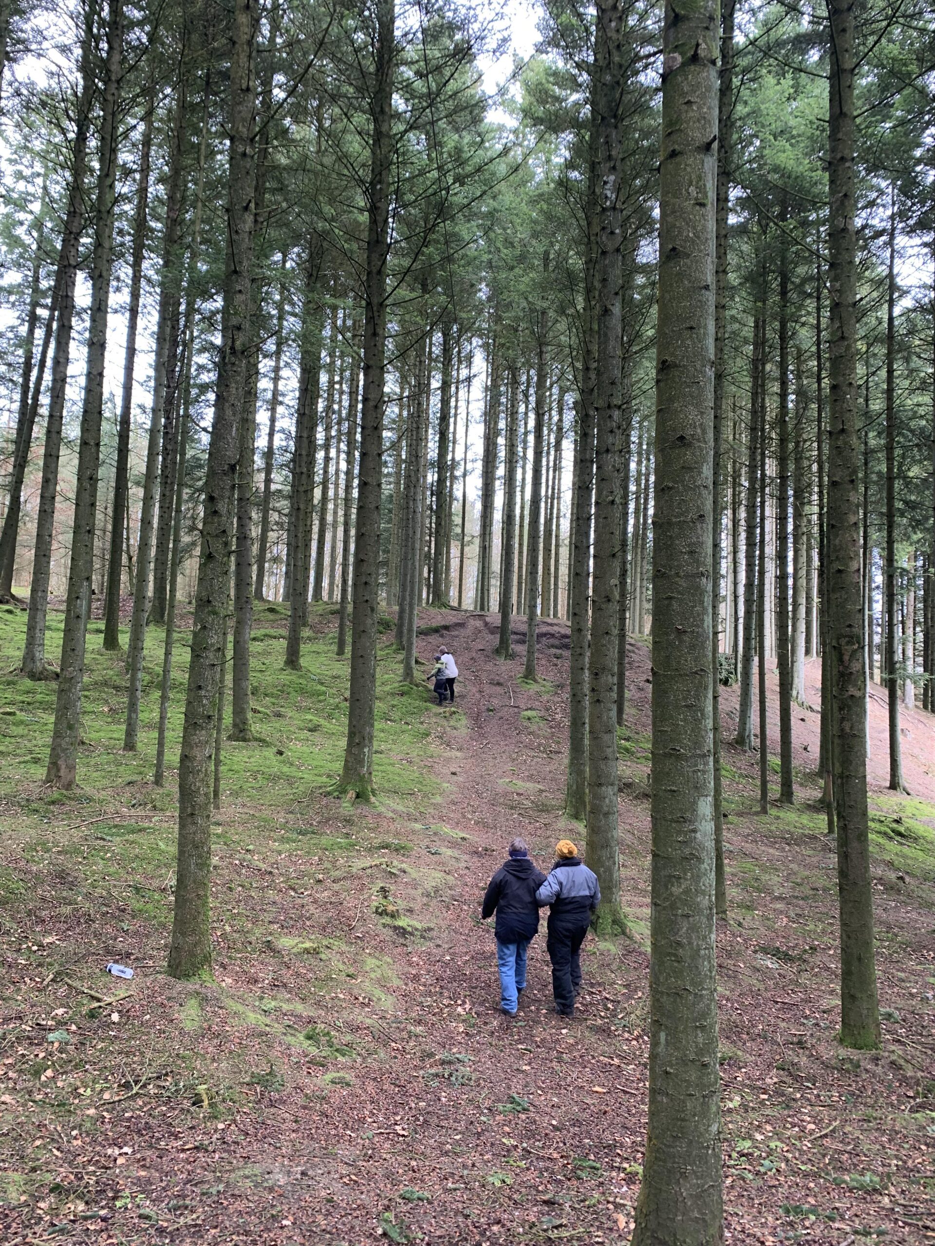 En vILD dag i skoven 18