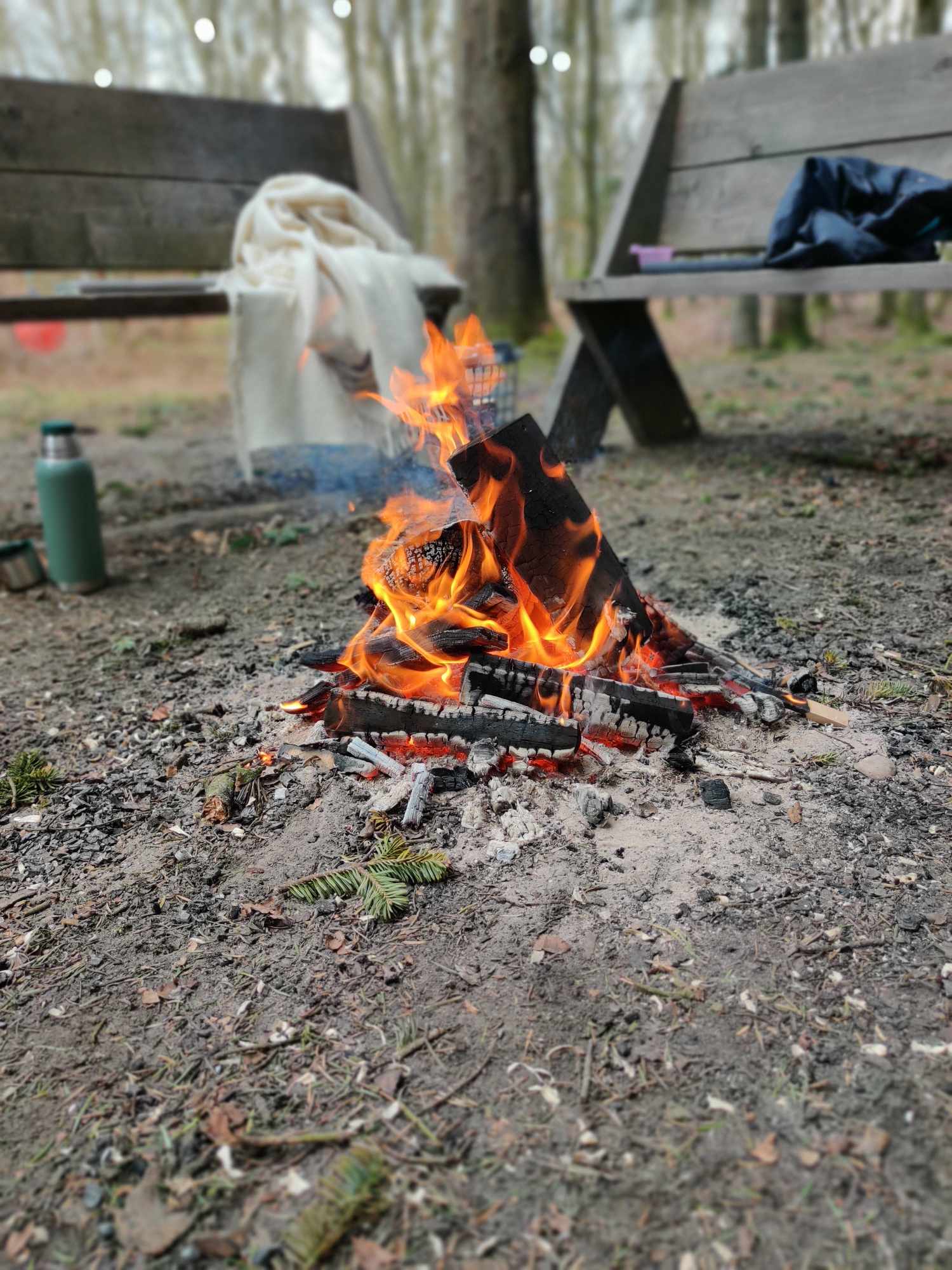 En vILD dag i skoven 19