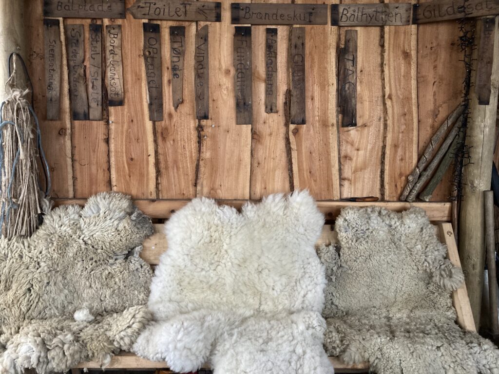 Stor donation fra Den A. P. Møllerske Støttefond skal løfte mental trivsel