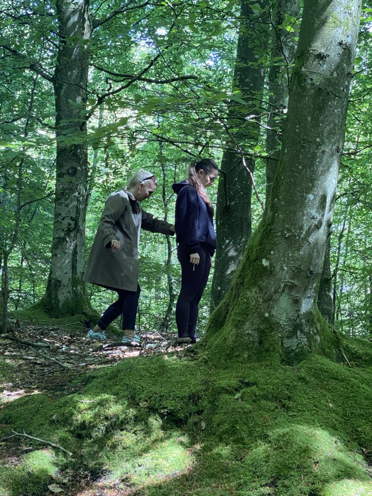 Temadag for lærere, pædagoger og psykologer fra projektet ”Styrkelse af klassefællesskabet” i Hjørring Kommune