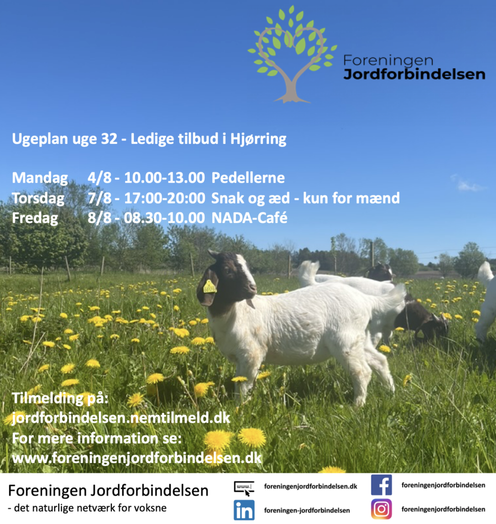 Ugeplan uge 32 - 2025 Hjørring