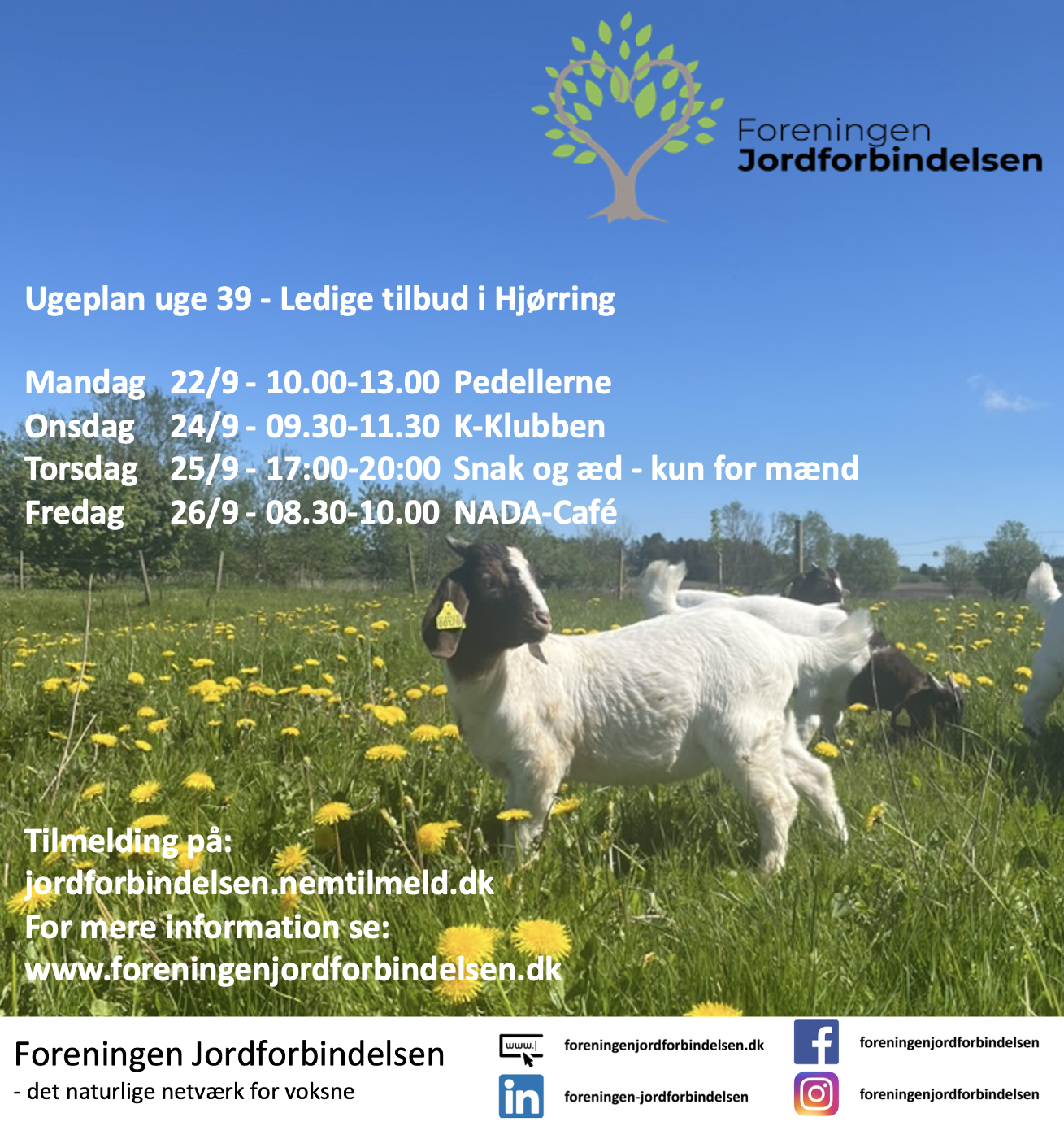 Ugeplan uge 39 - 2025 Hjørring