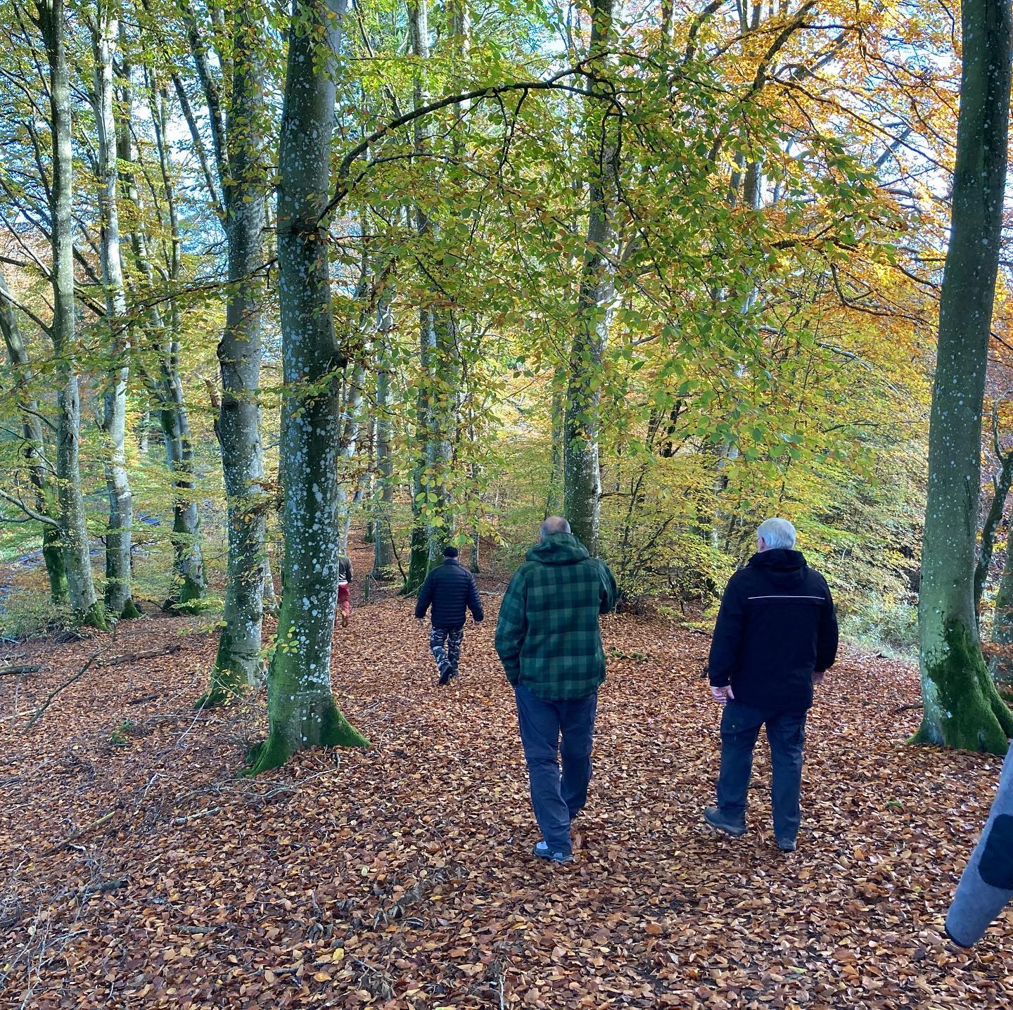 En som rækker ud - Fællesskabet uden forventningspres