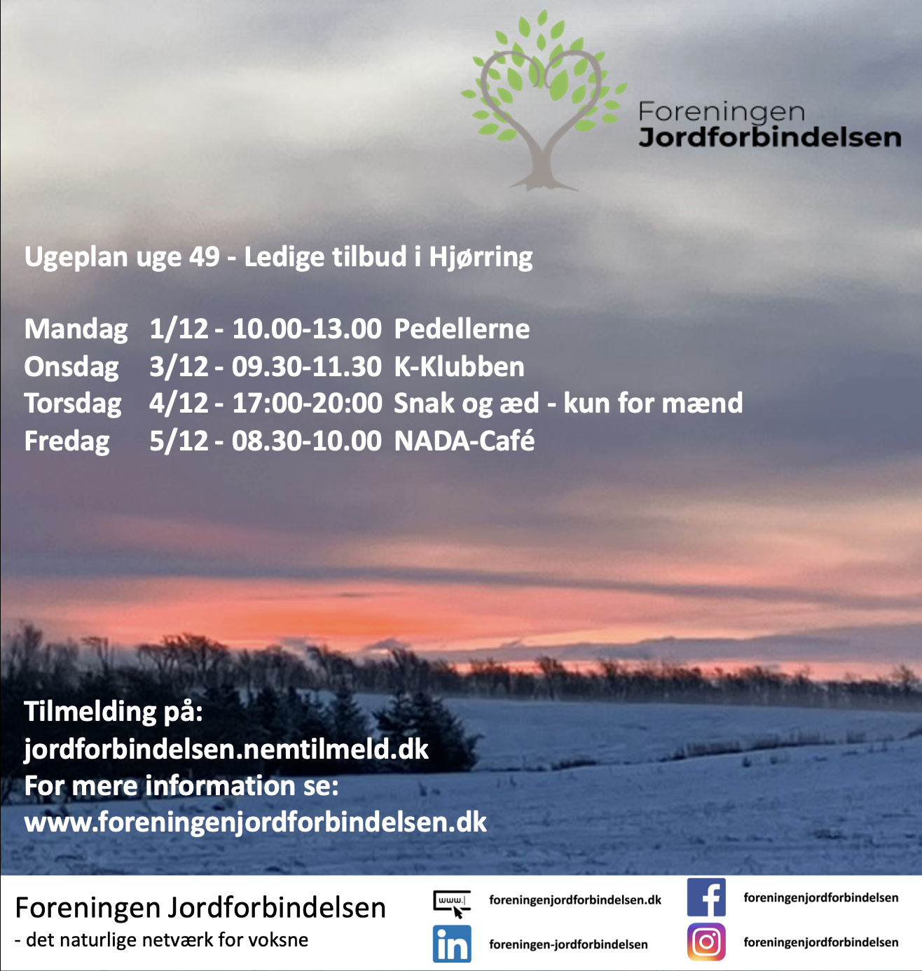 Hjørring uge 49 - 2025