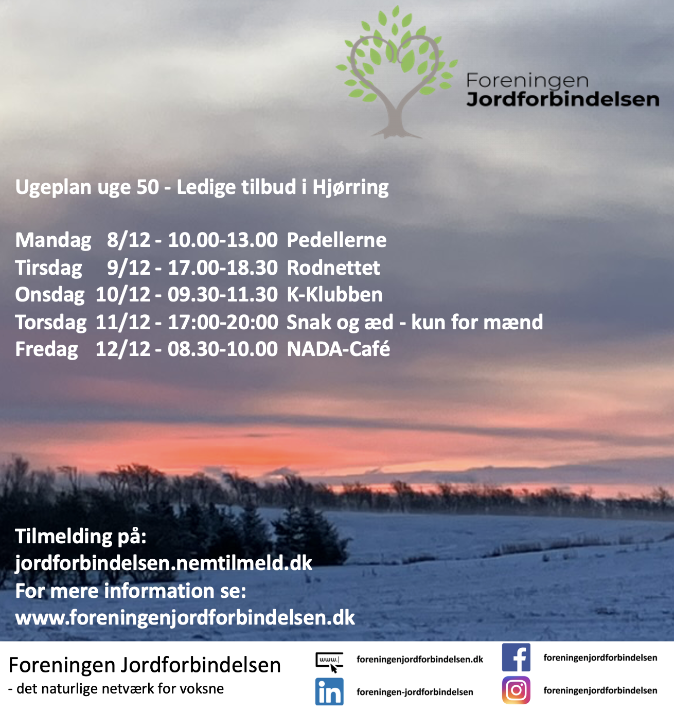 Hjørring uge 50 - 2025