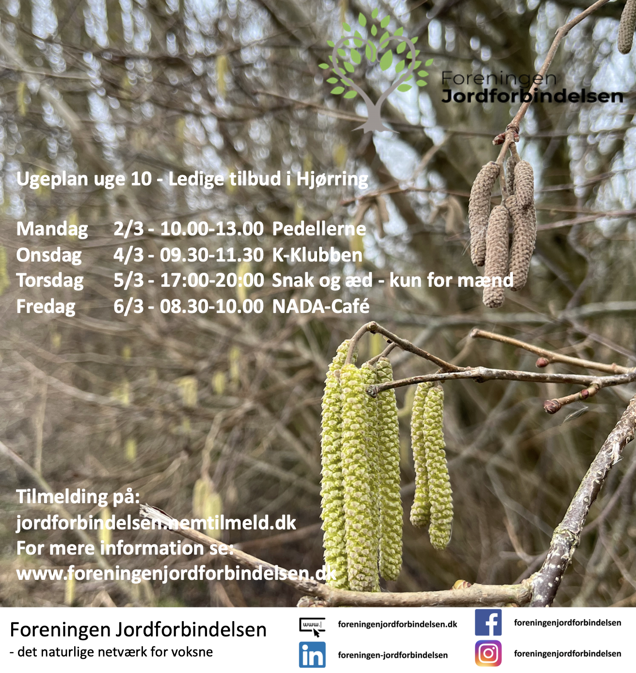 Ugeplan uge 10 - 2026 Hjørring