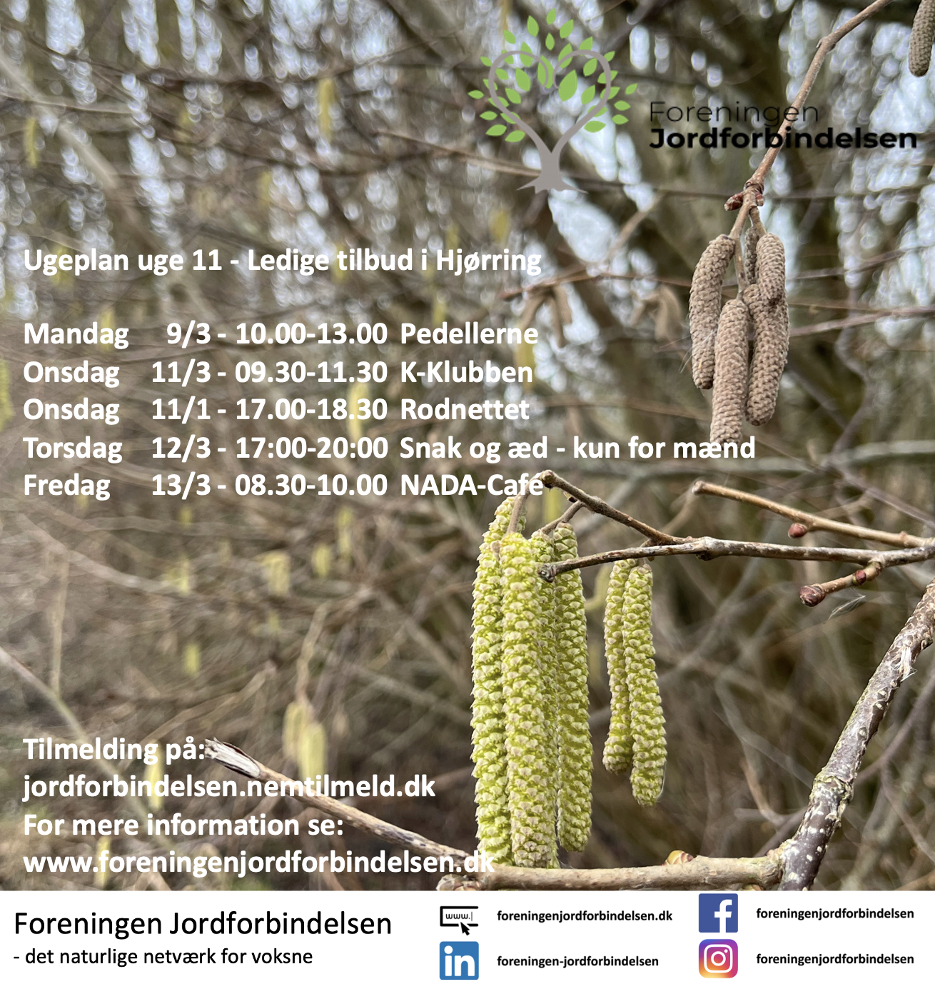 Ugeplan uge 11 - 2026 Hjørring