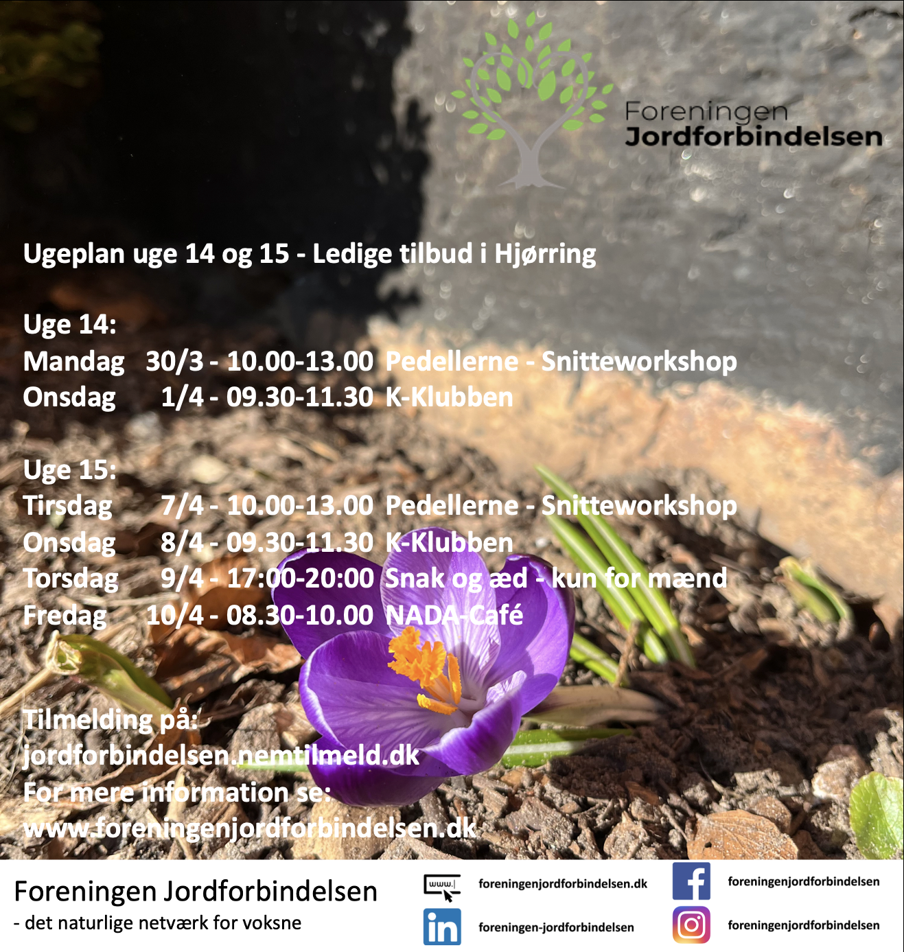 Ugeplan uge 14+15 - 2026 Hjørring
