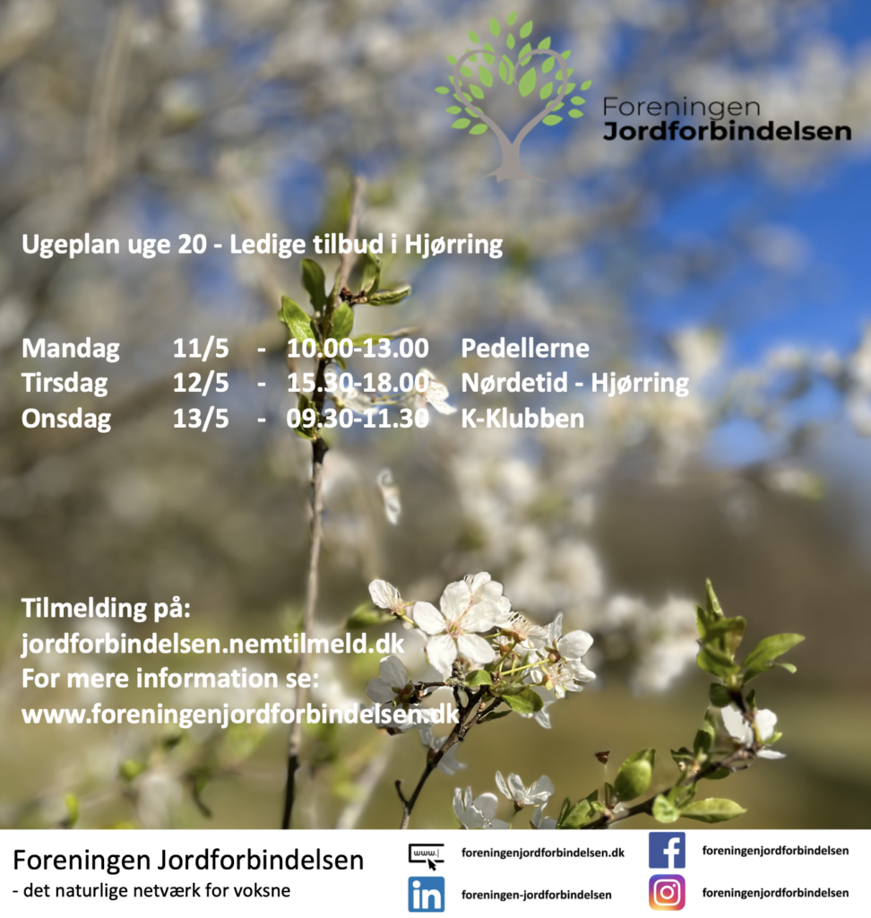 Ugeplan uge 20 - 2026 Hjørring