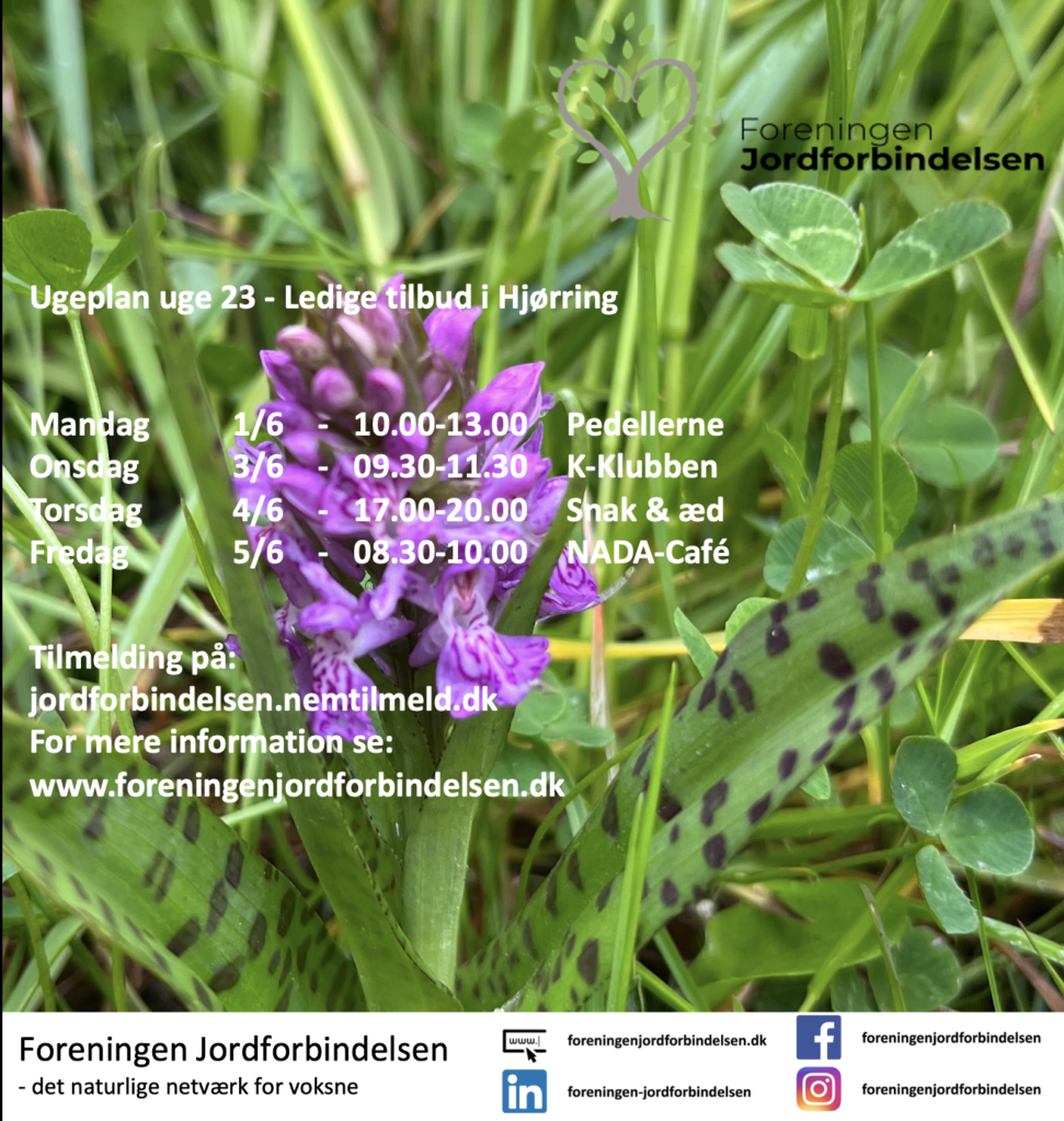 Ugeplan uge 23 - 2026 Hjørring