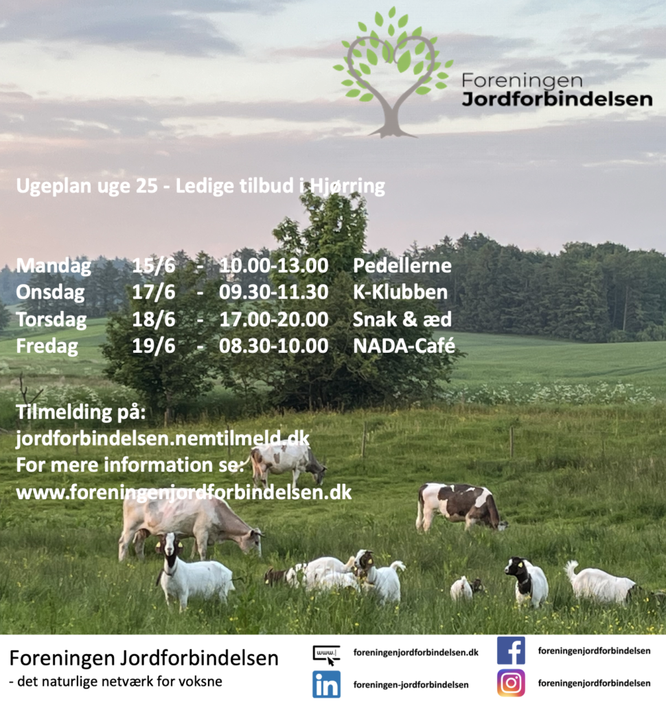Ugeplan uge 25 - 2026 Hjørring