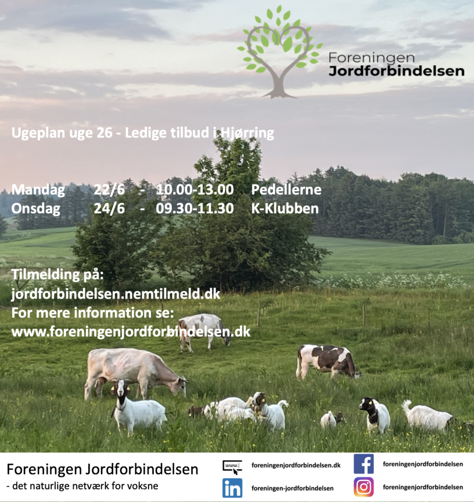 Ugeplan uge 26 - 2026 Hjørring