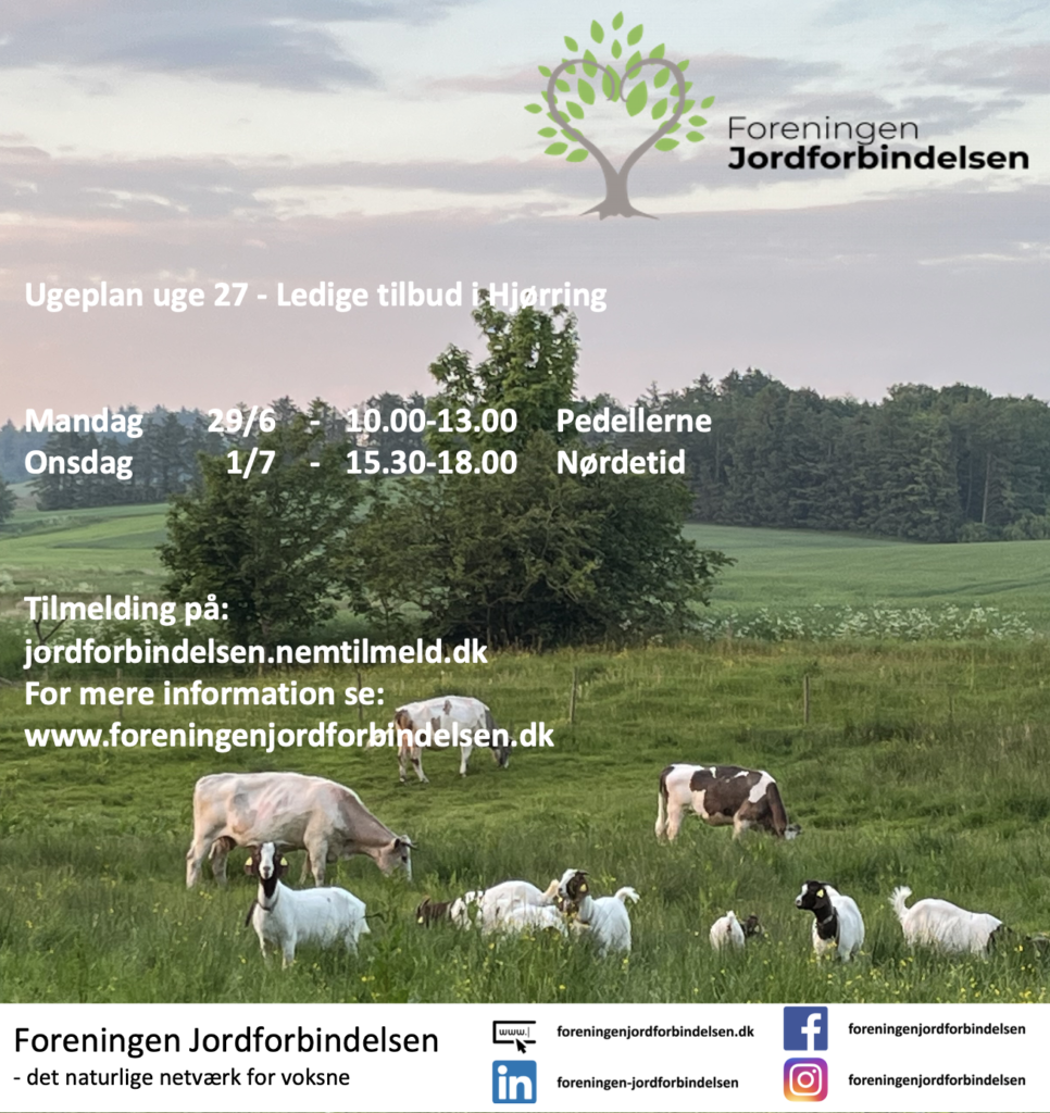 Ugeplan uge 27 - 2026 Hjørring