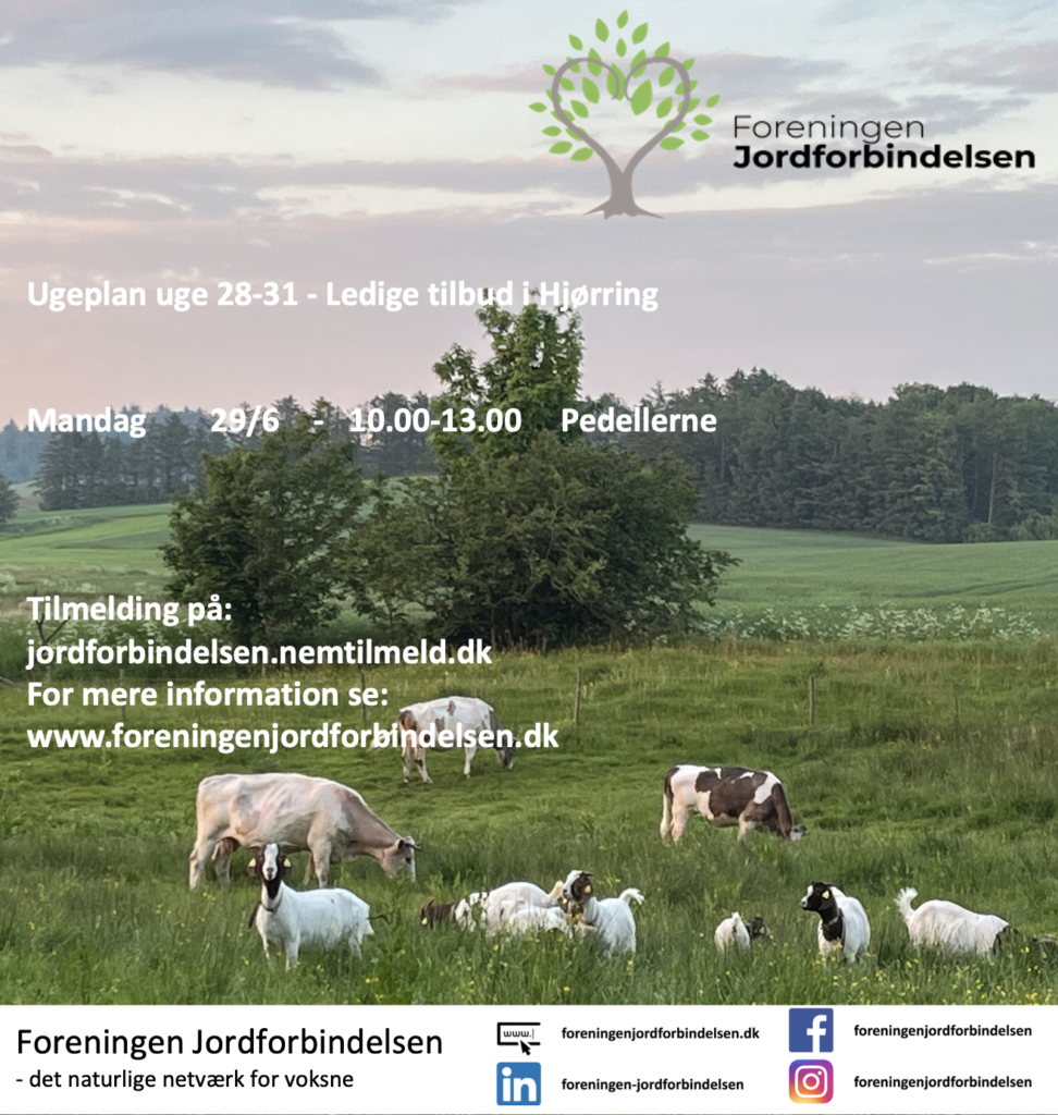 Ugeplan uge 28-31 - 2026 Hjørring